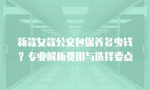 新款女款公文包保养多少钱？专业解析费用与选择要点