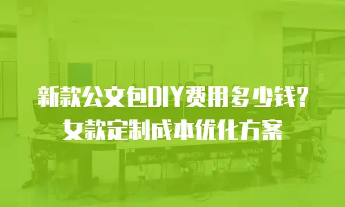 新款公文包DIY费用多少钱？女款定制成本优化方案