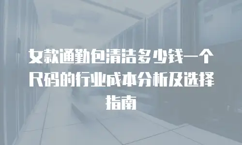 女款通勤包清洁多少钱一个尺码的行业成本分析及选择指南