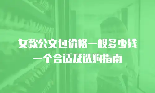 女款公文包价格一般多少钱一个合适及选购指南