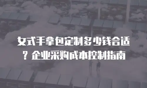 女式手拿包定制多少钱合适？企业采购成本控制指南