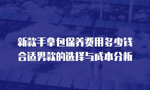 新款手拿包保养费用多少钱合适男款的选择与成本分析