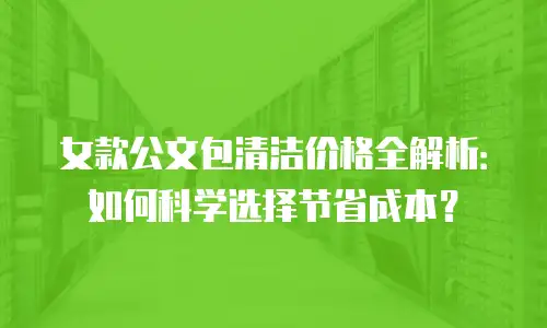 女款公文包清洁价格全解析：如何科学选择节省成本？