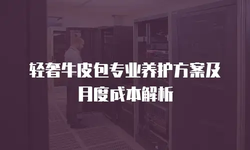 轻奢牛皮包专业养护方案及月度成本解析