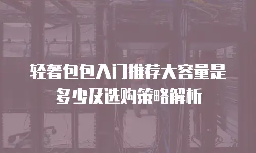 轻奢包包入门推荐大容量是多少及选购策略解析