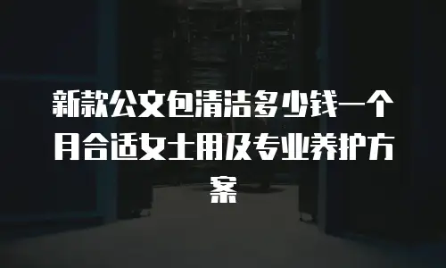 新款公文包清洁多少钱一个月合适女士用及专业养护方案