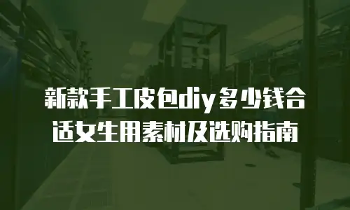 新款手工皮包diy多少钱合适女生用素材及选购指南