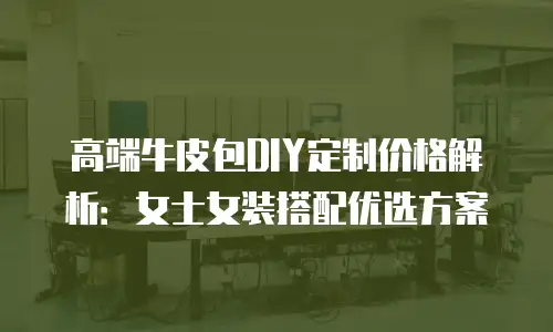 高端牛皮包DIY定制价格解析：女士女装搭配优选方案