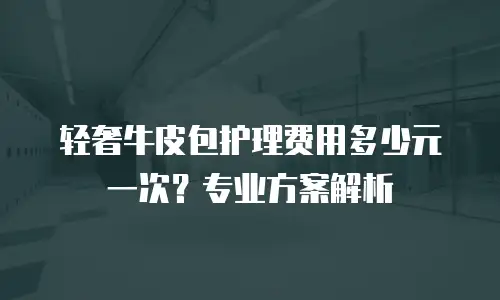 轻奢牛皮包护理费用多少元一次？专业方案解析