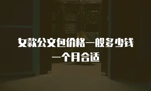 女款公文包价格一般多少钱一个月合适