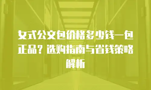 女式公文包价格多少钱一包正品？选购指南与省钱策略解析