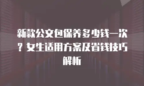 新款公文包保养多少钱一次？女生适用方案及省钱技巧解析