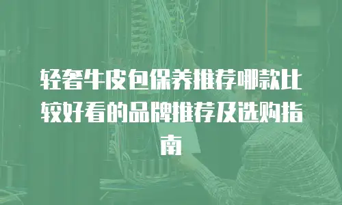 轻奢牛皮包保养推荐哪款比较好看的品牌推荐及选购指南