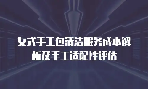 女式手工包清洁服务成本解析及手工适配性评估