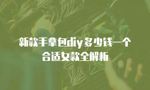 新款手拿包diy多少钱一个合适女款全解析