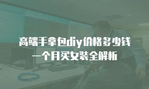 高端手拿包diy价格多少钱一个月买女装全解析