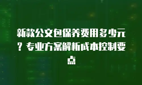 新款公文包保养费用多少元？专业方案解析成本控制要点