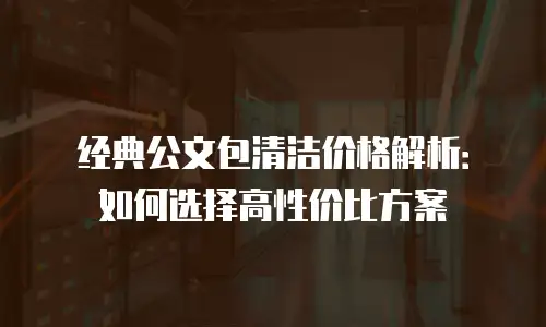 经典公文包清洁价格解析：如何选择高性价比方案