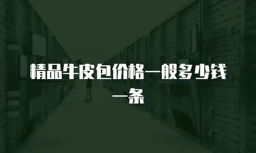 精品牛皮包价格一般多少钱一条