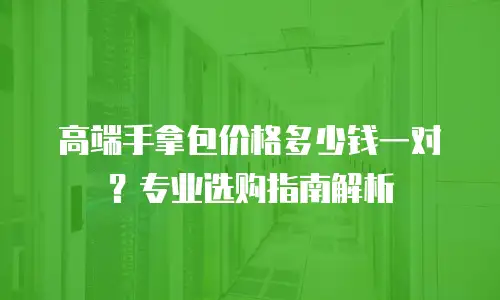 高端手拿包价格多少钱一对？专业选购指南解析