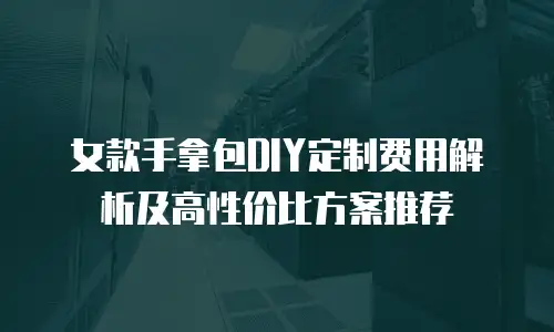 女款手拿包DIY定制费用解析及高性价比方案推荐