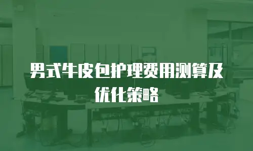 男式牛皮包护理费用测算及优化策略