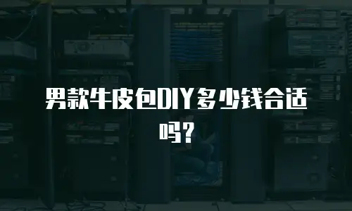 男款牛皮包DIY多少钱合适吗？