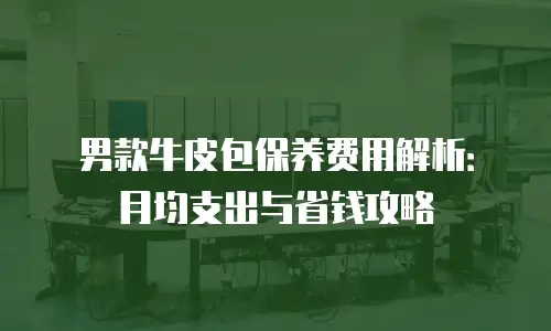 男款牛皮包保养费用解析：月均支出与省钱攻略