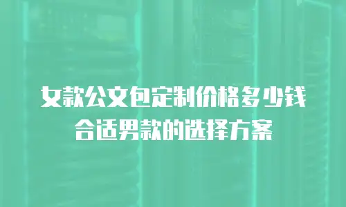 女款公文包定制价格多少钱合适男款的选择方案