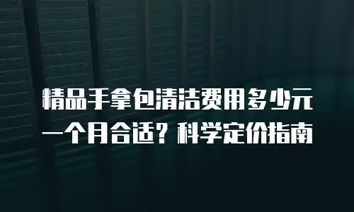 精品手拿包清洁费用多少元一个月合适？科学定价指南