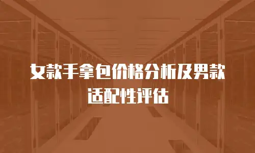 女款手拿包价格分析及男款适配性评估