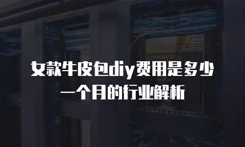 女款牛皮包diy费用是多少一个月的行业解析
