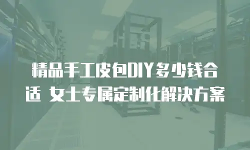 精品手工皮包DIY多少钱合适 女士专属定制化解决方案