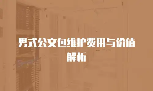 男式公文包维护费用与价值解析