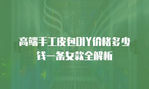 高端手工皮包DIY价格多少钱一条女款全解析