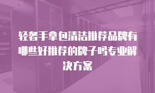 轻奢手拿包清洁推荐品牌有哪些好推荐的牌子吗专业解决方案