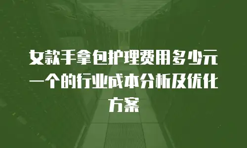 女款手拿包护理费用多少元一个的行业成本分析及优化方案
