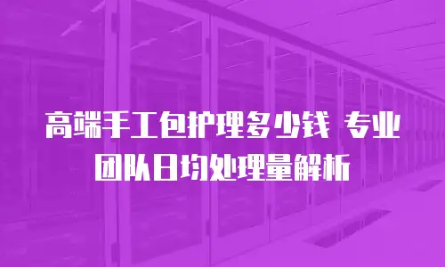 高端手工包护理多少钱 专业团队日均处理量解析