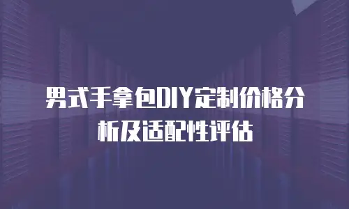 男式手拿包DIY定制价格分析及适配性评估
