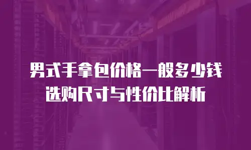 男式手拿包价格一般多少钱 选购尺寸与性价比解析