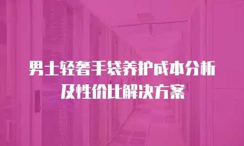 男士轻奢手袋养护成本分析及性价比解决方案