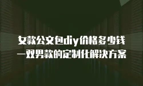 女款公文包diy价格多少钱一双男款的定制化解决方案
