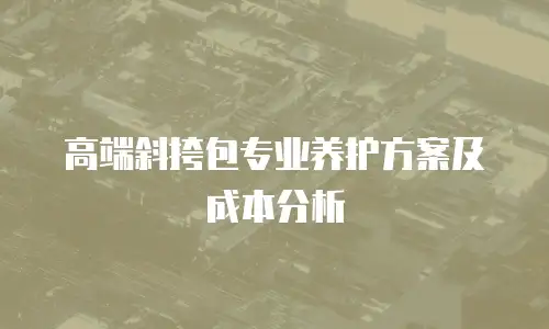 高端斜挎包专业养护方案及成本分析