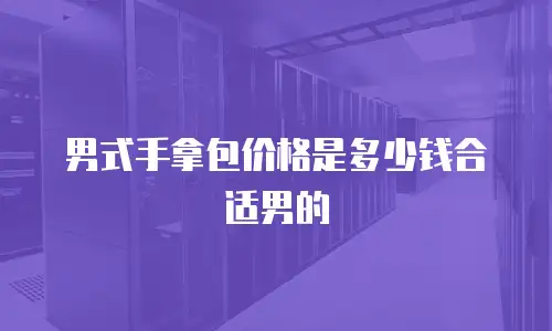 男式手拿包价格是多少钱合适男的