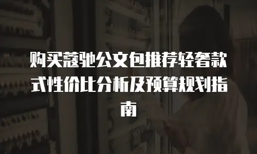 购买蔻驰公文包推荐轻奢款式性价比分析及预算规划指南