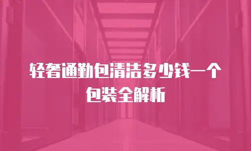 轻奢通勤包清洁多少钱一个包装全解析