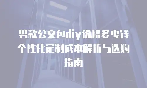 男款公文包diy价格多少钱 个性化定制成本解析与选购指南