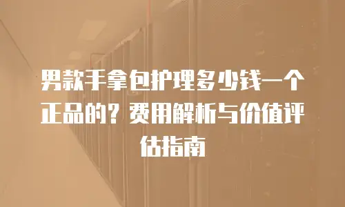 男款手拿包护理多少钱一个正品的？费用解析与价值评估指南