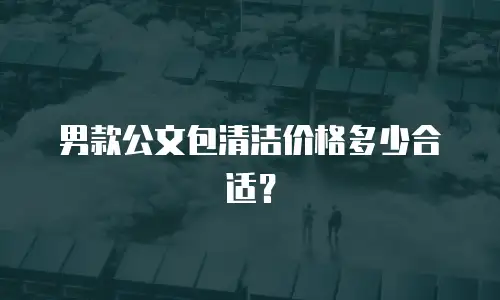 男款公文包清洁价格多少合适？
