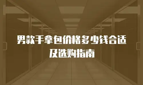 男款手拿包价格多少钱合适及选购指南